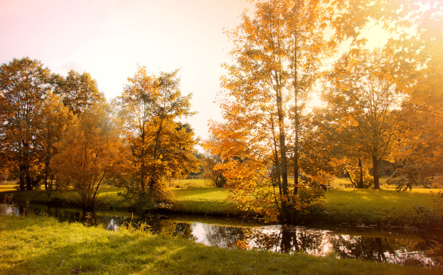 Piante in autunno Centro Naturalistico Oasi Bettella